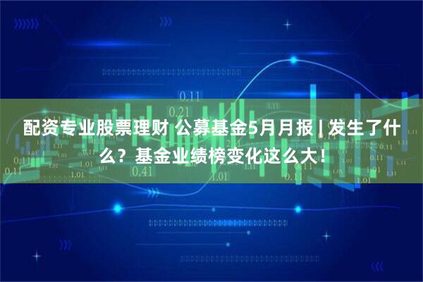 配资专业股票理财 公募基金5月月报 | 发生了什么？基金业绩榜变化这么大！